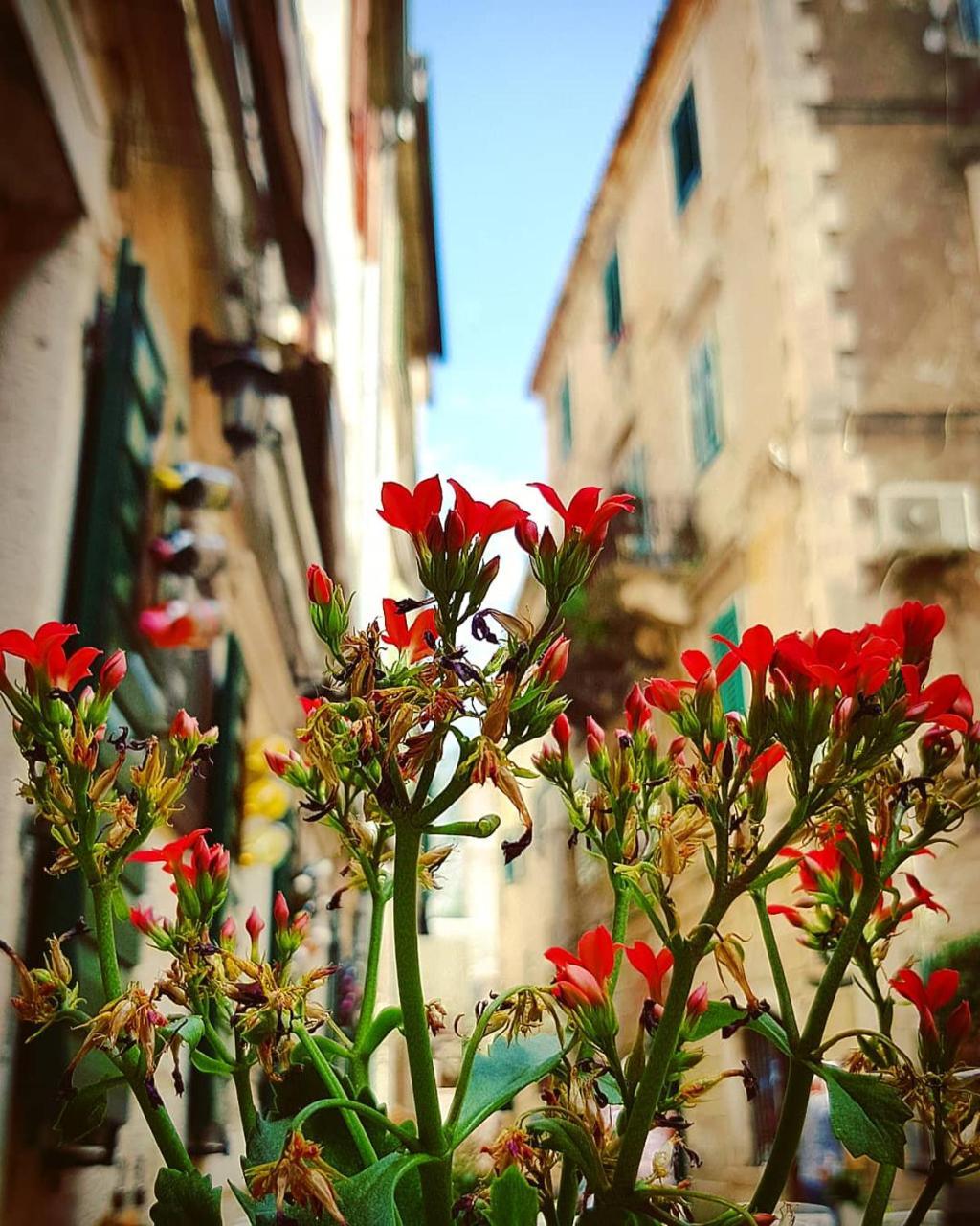 Kotor Bagus - Cozy Boutique Old Town Studio With Seaview Terrace ภายนอก รูปภาพ